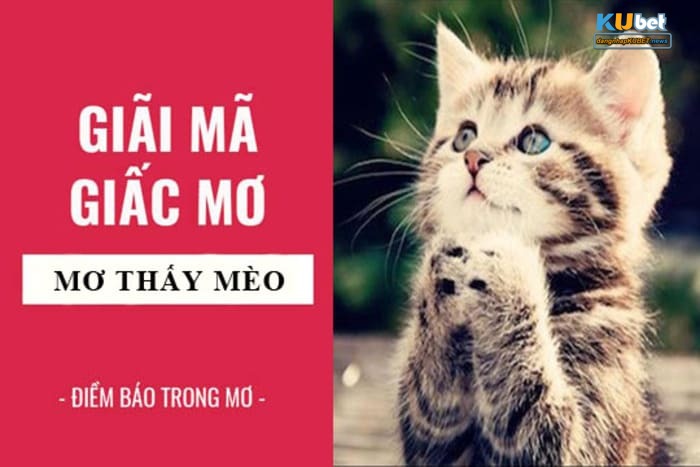 nằm mơ thấy mèo