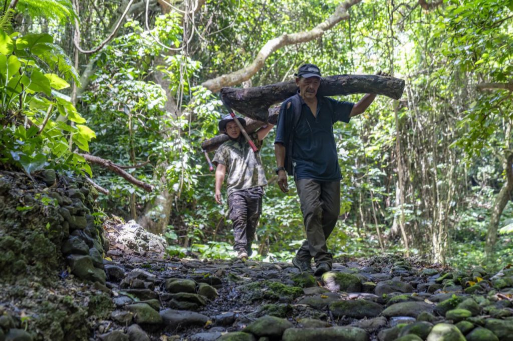 วิเคราะห์เปรียบเทียบข้ามวัฒนธรรม: จุดร่วมระหว่างประเพณีชาวเกาะและชายขอบของเมืองใหญ่
