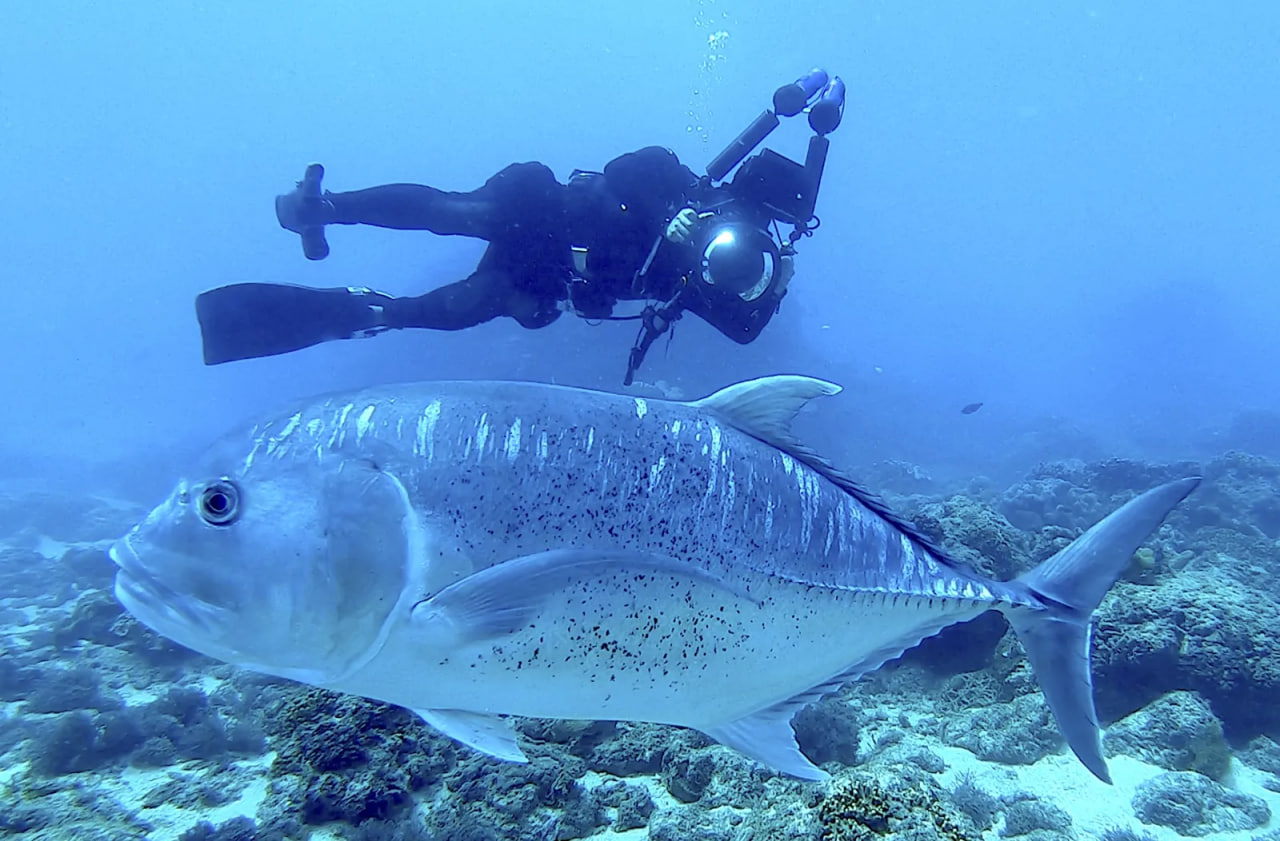 ทริปวัฒนธรรมเต้า (Tao) ตอนที่ 3 | แม้เชี่ยวชาญการถ่ายภาพใต้น้ำจนคล่องแคล่ว แต่สิ่งที่เขากลัวที่สุดคือการ “ล่วงละเมิดข้อห้าม” ทางวัฒนธรรมของเกาะกล้วยไม้