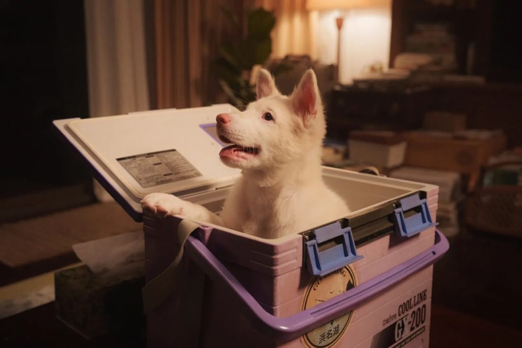 การผนึกกำลังญี่ปุ่น-เกาหลี: กุญแจสำคัญของ Killer Dance และ KUBET